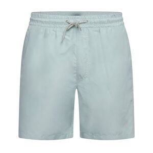 Crosshatch Mens Wabasso Swim Shorts / Mint